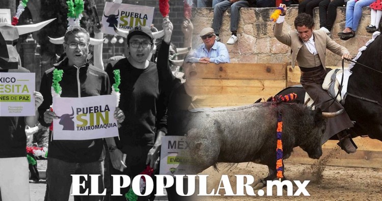 ¡No les importó! Realizan corrida de toros en Ixtacamaxtitlán pese a suspensión judicial