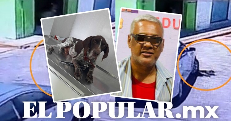 ​​​​​​​Hombre que atropelló intencionalmente a perrito en Piaxtla deberá pagar 15 mil pesos
