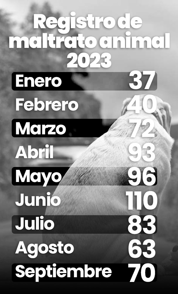 Registro de maltrato animal en 2023