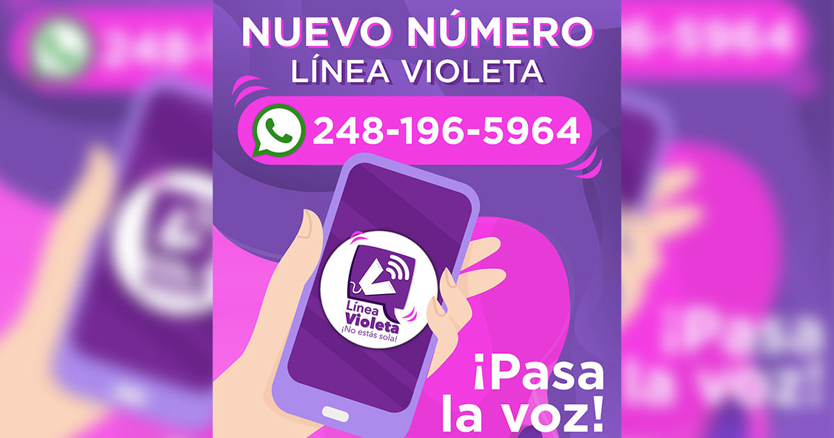 Nueva Línea Violeta San Martín Texmelucan: 248 196 5964