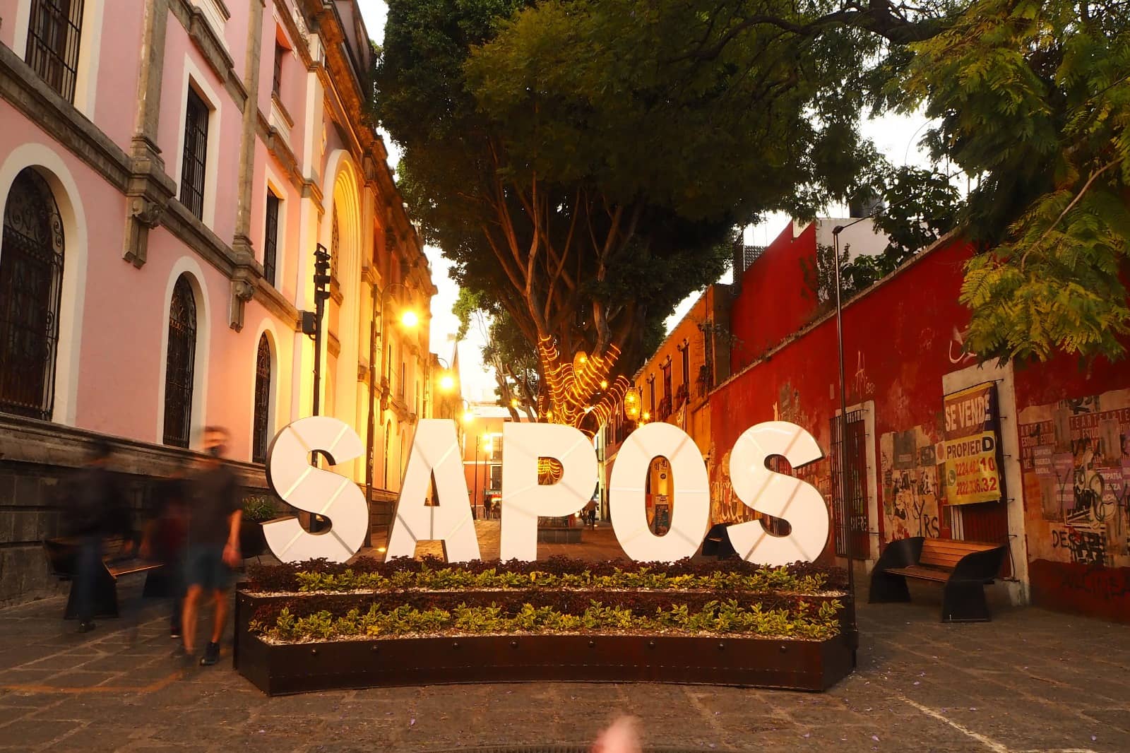 Atardecer en el barrio de los Sapos