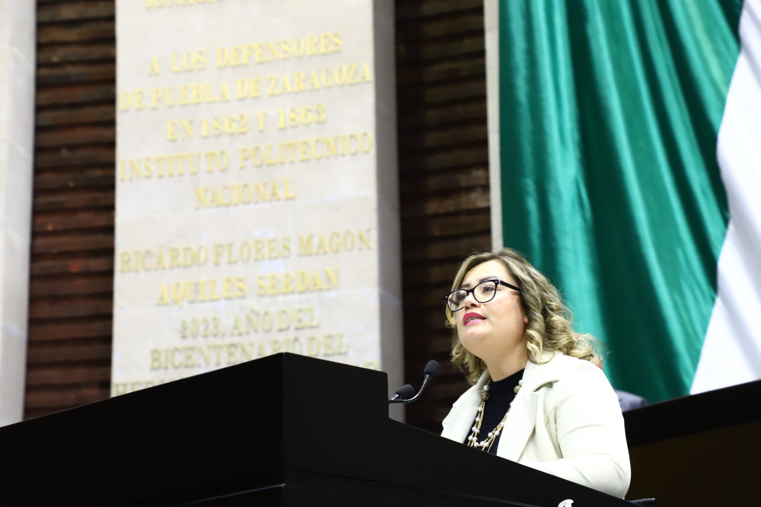Julieta Vences Valencia en el pleno de la Cámara de Diputados