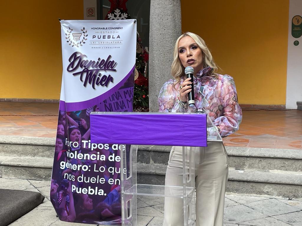 La diputada Daniela Mier Bañuelos señaló que la violencia de género es un problema social que requiere una respuesta colectiva