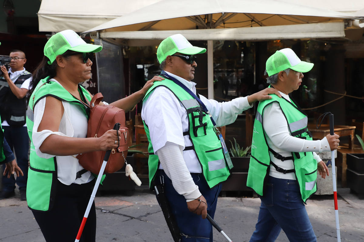  Asociación Cultural y Recreativa para la Proyección del Invidente Puebla A.C. (ACRIP)