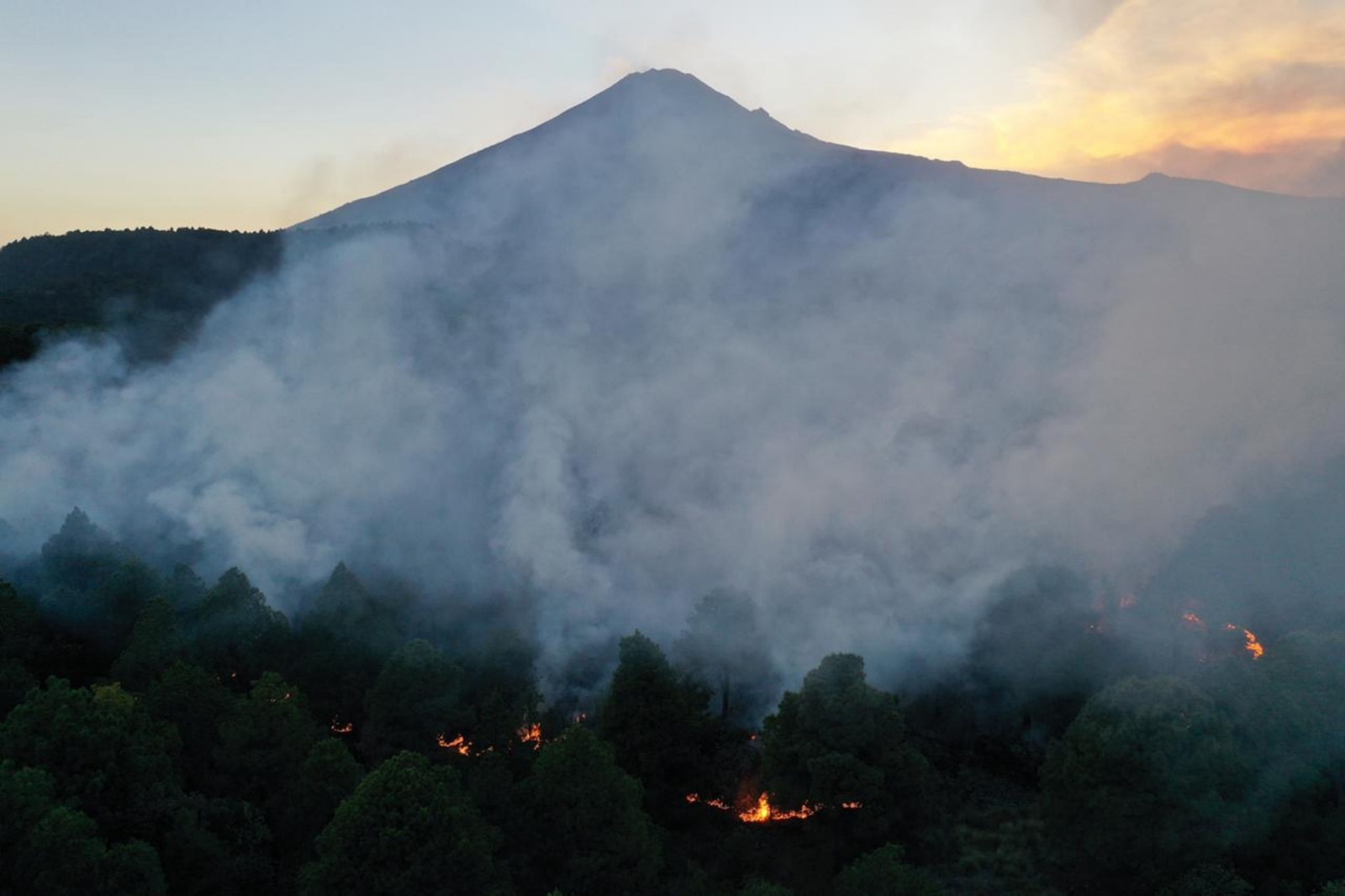 Incendios forestales 