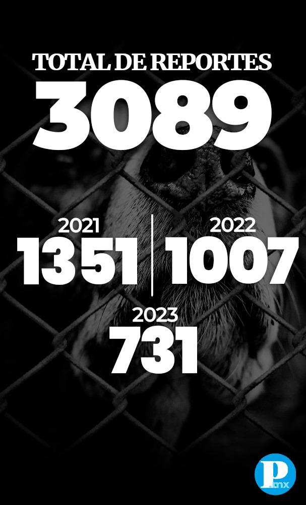 3089 reportes
