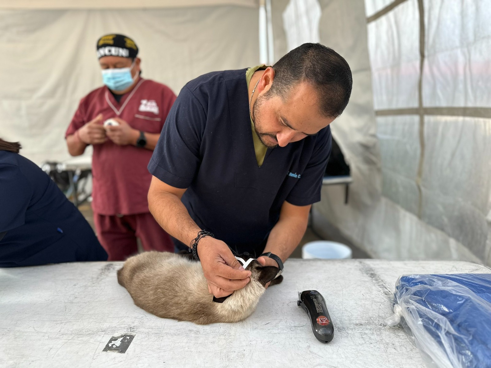 el próximo lunes 18 de diciembre, se llevará a cabo la última jornada de esterilización gratuita del 2023, en el Vivero Municipal