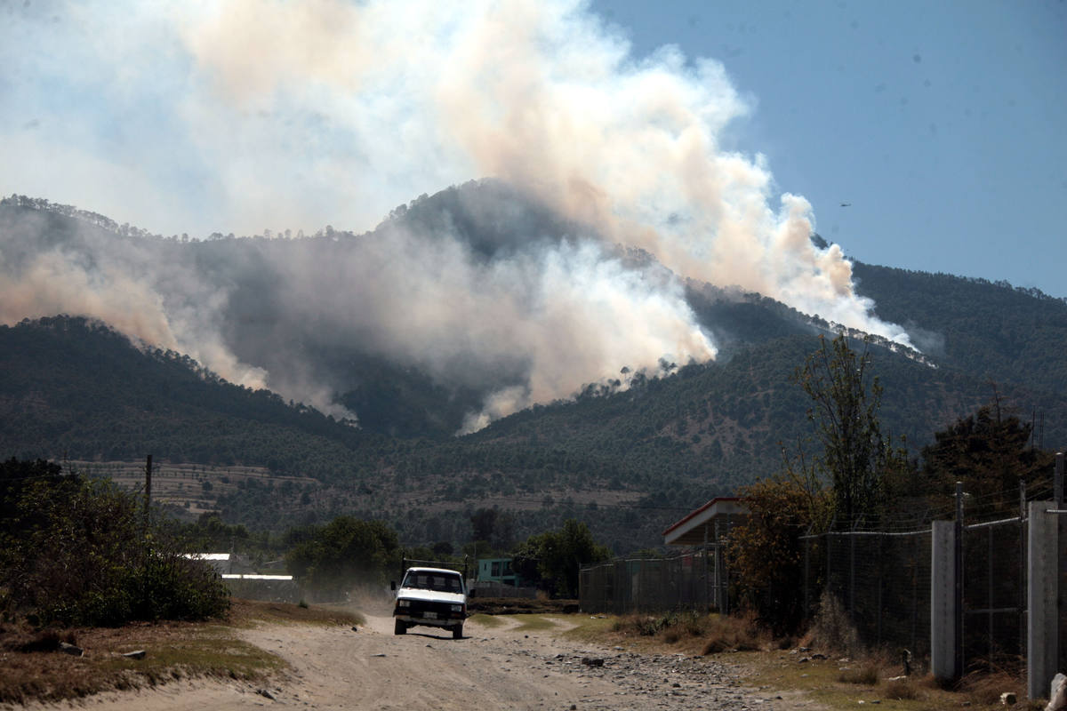 Puebla cerró el 2023 con 345 incendios forestales