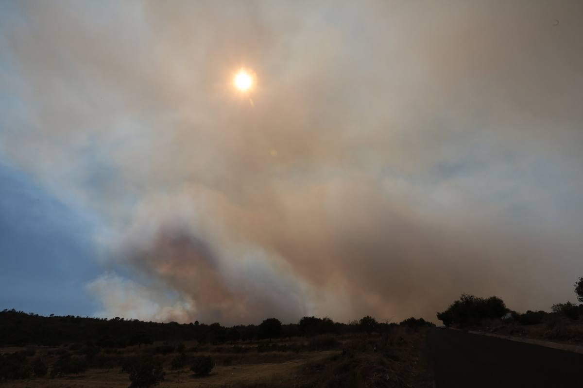 Incendios forestales