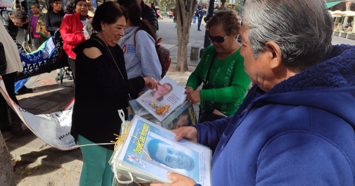 Integrantes del Colectivo Voz de los Desaparecidos retiraron este domingo 7 de enero las fotografías de 134 personas desaparecidas del Árbol de la Esperanza