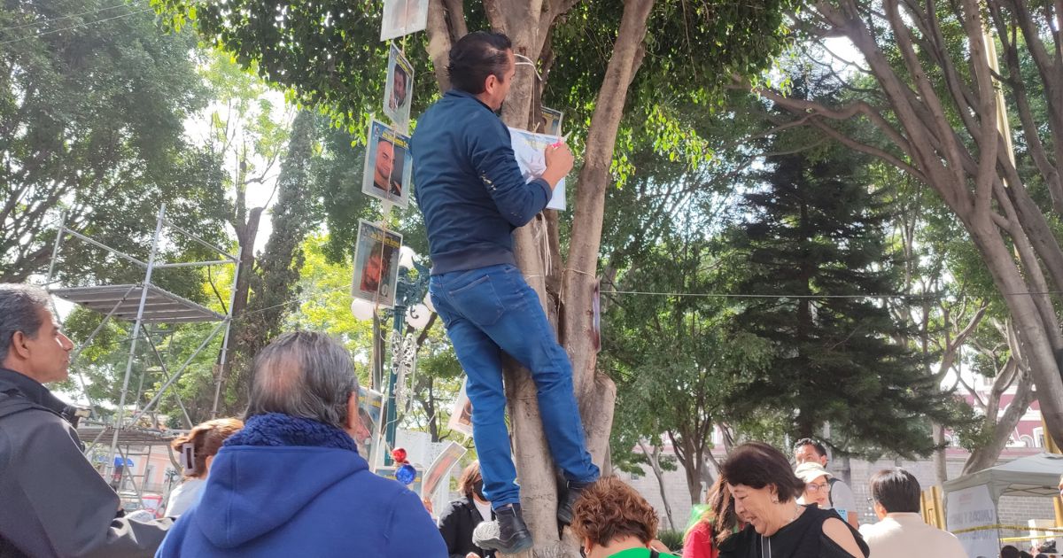 Retiran fotos de desaparecidos del Árbol de la Esperanza, ninguna persona fue localizada