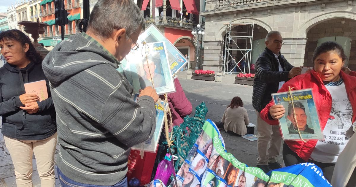 El Colectivo Voz de los Desaparecidos instaló por quinto año consecutivo el árbol de la esperanza 