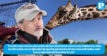 Rescate de Benito unió a toda la sociedad mexicana: director de Africam Safari