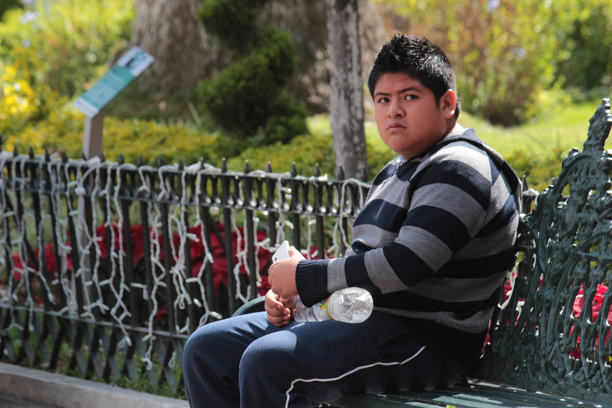 Casos de obesidad en Puebla
