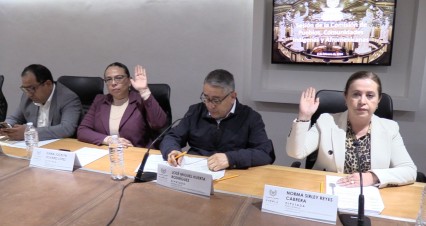 Respuestas de la Comisión de Pueblos, Comunidades Indígenas y Afromexicanas: Actualizaciones Legislativas Relevantes