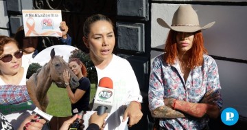 Directora de Cuacolandia pide agilizar iniciativa contra maltrato animal