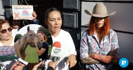 Directora de Cuacolandia pide agilizar iniciativa contra maltrato animal