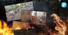 Controlan incendio forestal de Ixtacamaxtitlán tras ser reavivado por pobladores