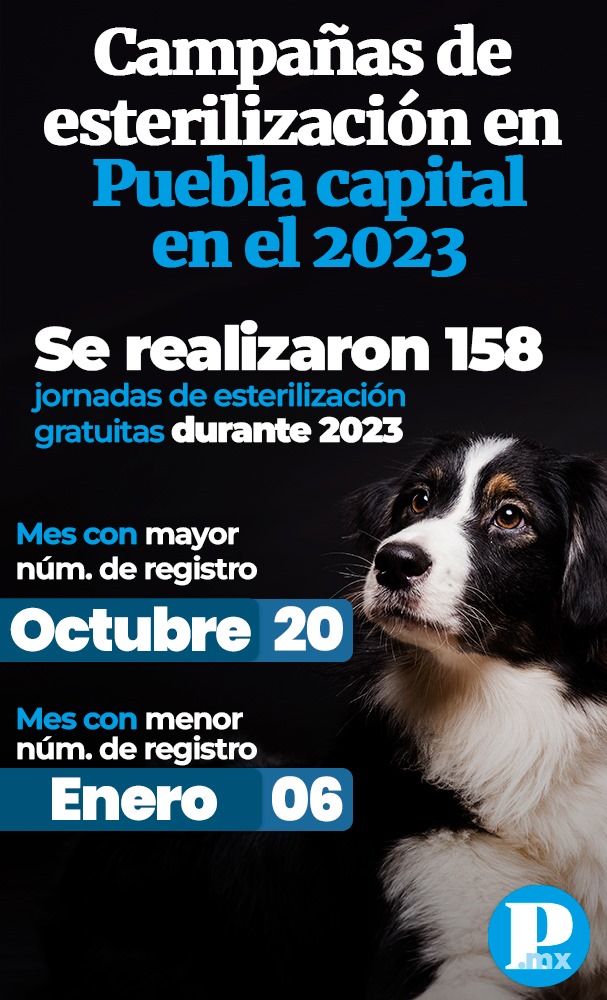 Campañas de esterilización Puebla 2023