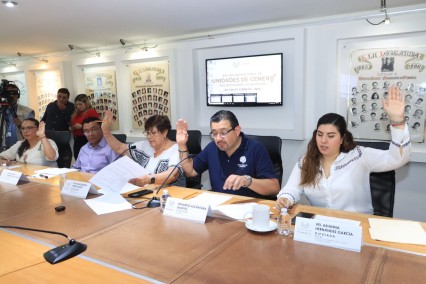 Impulso a la igualdad: nuevas medidas en la Ley Org&aacute;nica de Puebla