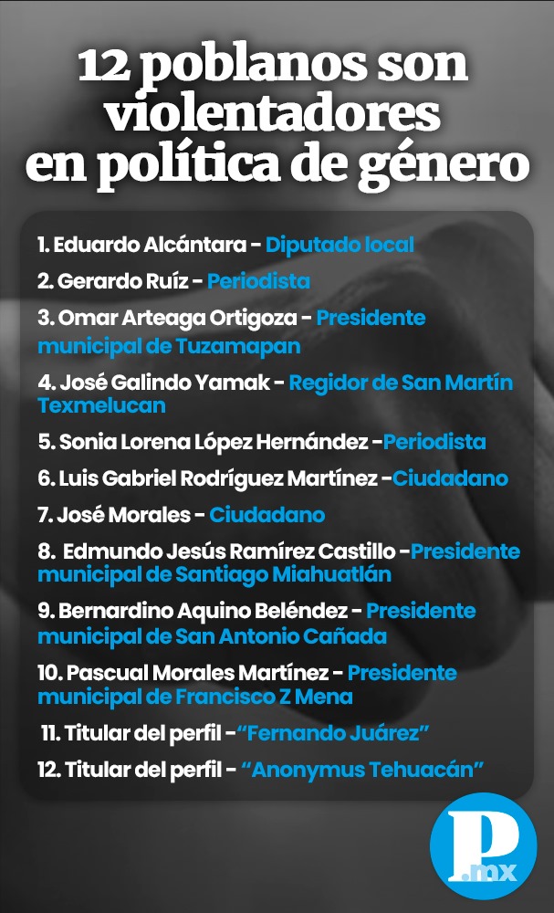 Violentadores en política de género 