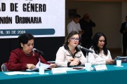 Ley 3 de 3 contra la violencia es un paso adelante en la lucha por los derechos de las mujeres