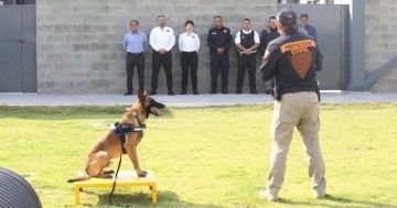 Unidad canina especializada en búsqueda y rescate, denominada "K-9".