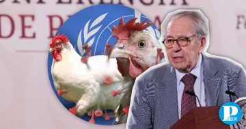 Secretaría Salud desmiente que mexicano muriera por gripe aviar H5N2