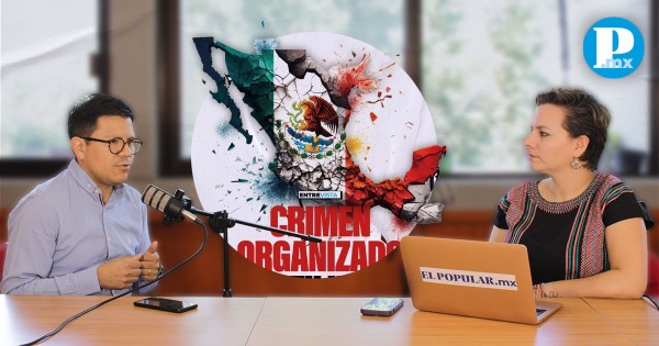 Crimen organizado utiliza polarización del país