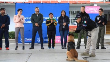 Edil y elementos de seguridad pública frente a perro