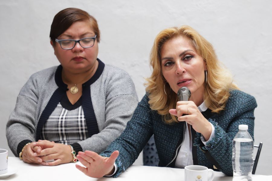 Erika de la Vega acusa que autoridades judiciales protegen a su presunto agresor. Foto: EsImagen