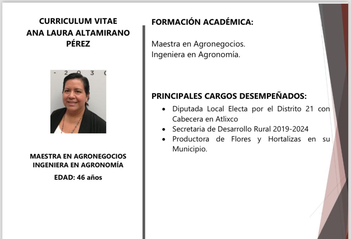 Currículo, Ana Laura Altamirano Pérez