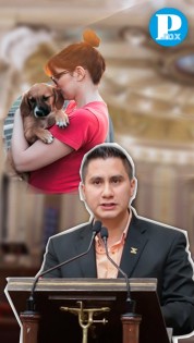 Proponen crear programa de Adopción Animal Responsable en Puebla