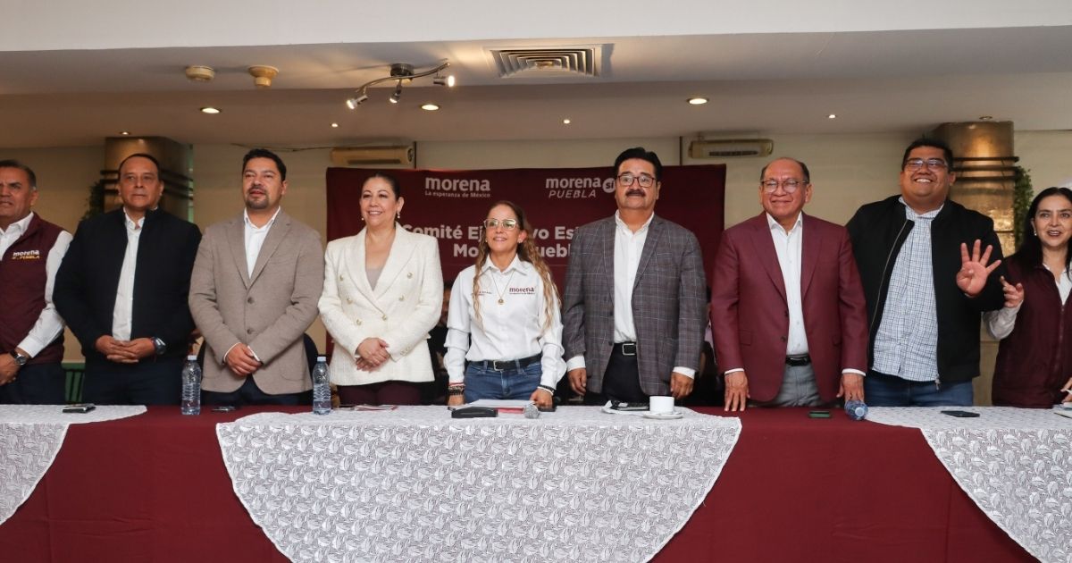 Renovación de Morena. Foto: EsImagen