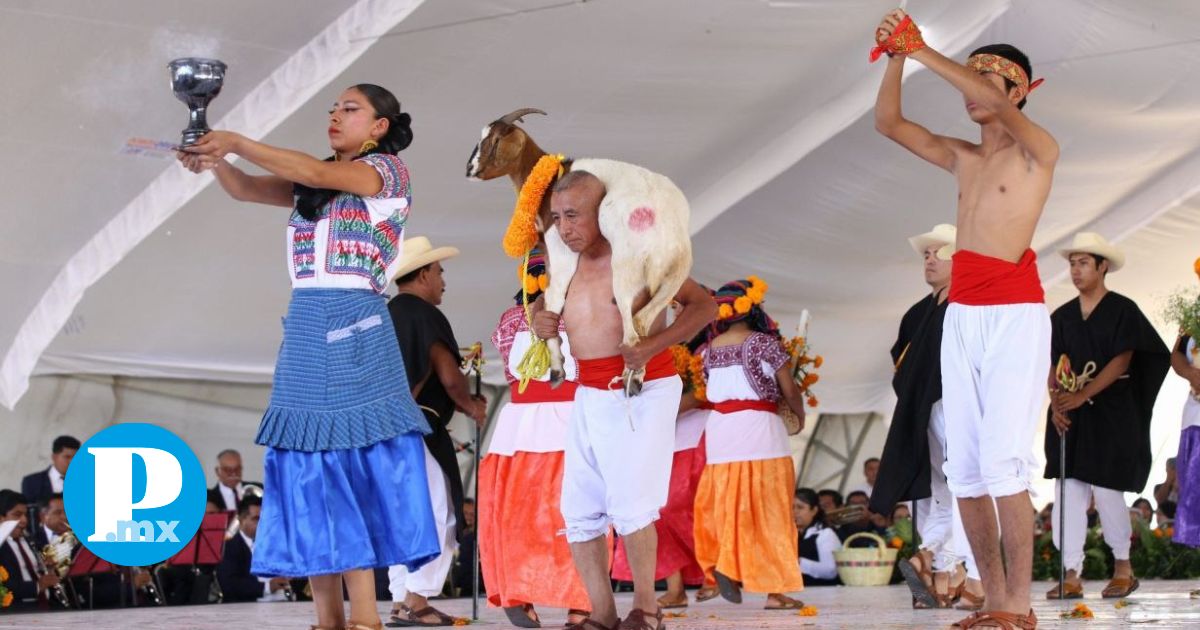 Festival de mole de caderas