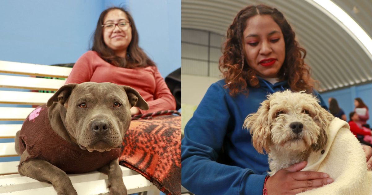  Segunda Jornada de Esterilización para Perros y Gatos
