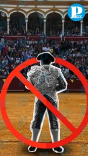 Congreso de Puebla analiza prohibir las corridas de toros y peleas de gallos