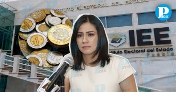 IEE solicita 436 millones para 2024