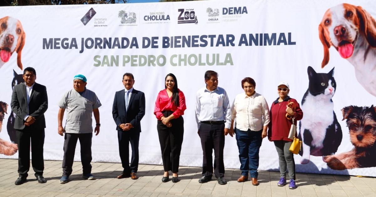 Realiza Gobierno de Cholula Mega Jornada de Esterilización