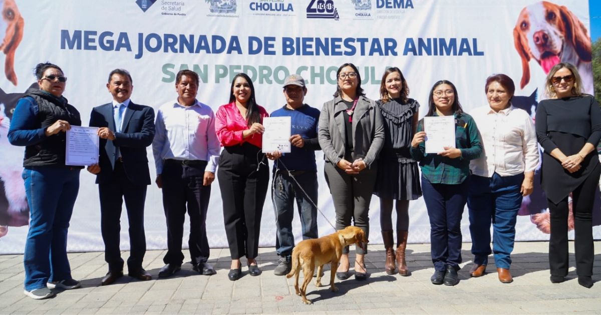 Realiza Gobierno de Cholula Mega Jornada de Esterilización