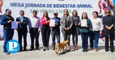 Realiza Gobierno de Cholula Mega Jornada de Esterilización