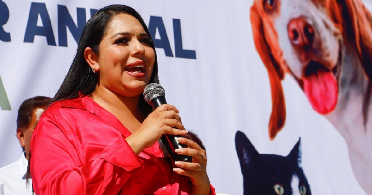 Realiza Gobierno de Cholula Mega Jornada de Esterilización