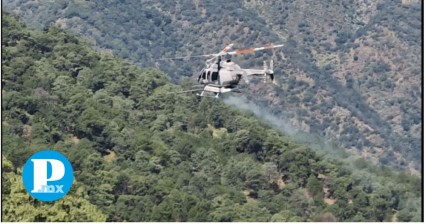 Acciones clave en el Combate al Crimen Organizado y el Rescate Humanitario