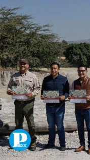 Recicla tu Árbol de Navidad y ayuda al medio ambiente