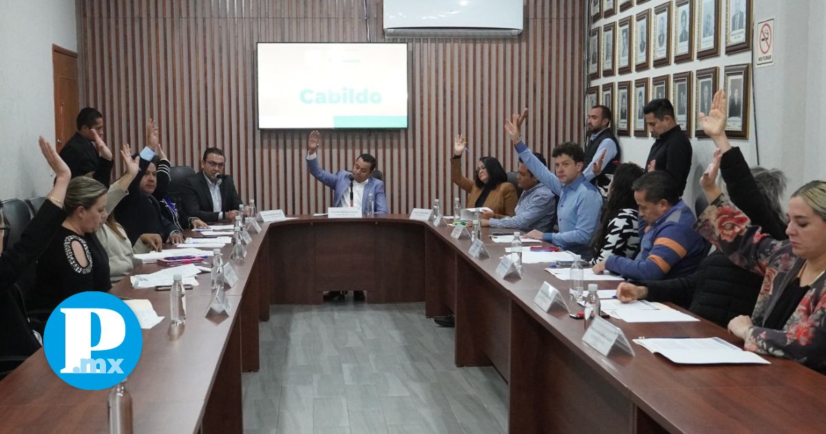 Ya está lista la convocatoria para los plebiscitos de 2025