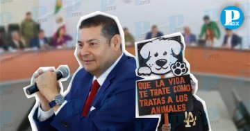 Armenta sancionará fundaciones que lucren con el bienestar animal en Puebla