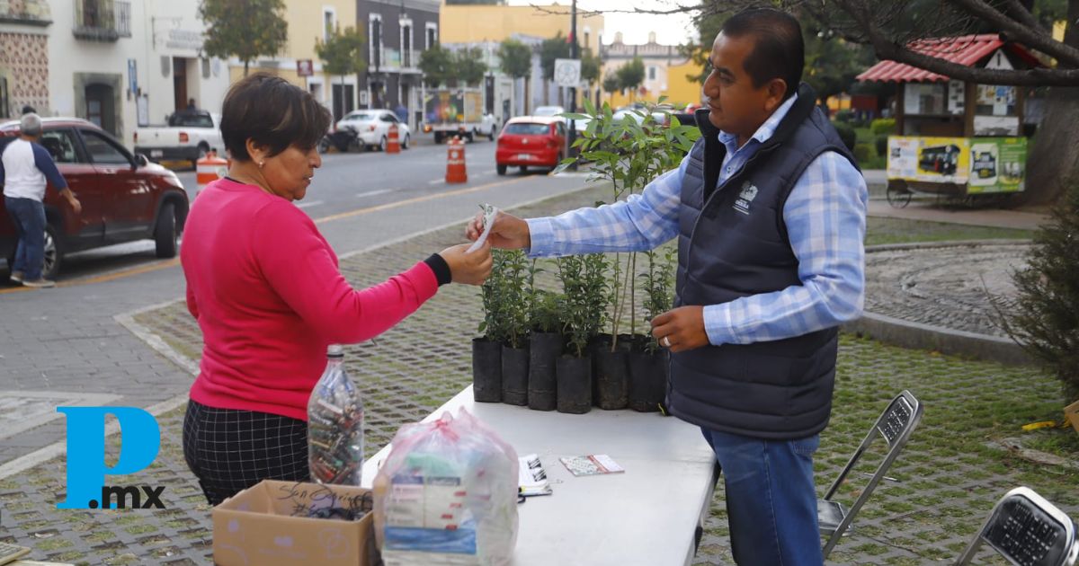 Últimos días de "Verde Navidad" y "Reciclatón" en San Pedro Cholula