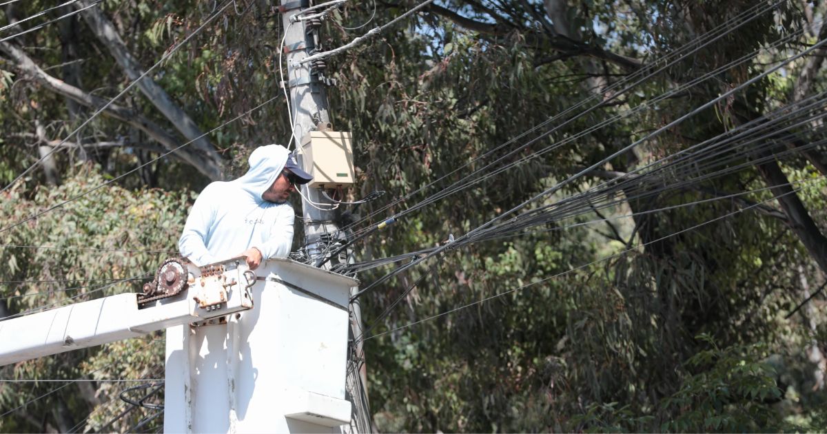 Mantiene Gobierno de la Ciudad compromiso para dar mantenimiento a las áreas verdes
