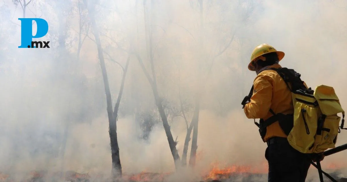 Puebla registra 222 incendios urbanos en lo que va del 2025