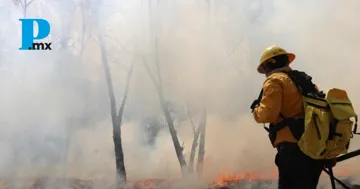 Puebla registra 222 incendios urbanos en lo que va del 2025